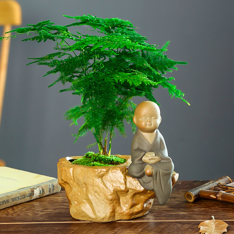 Yuyi Zen Master [Zhongpen Asparagus]가 뿌리 파우더를 제공합니다