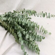 ֲ��ɻ��ɘ��~֦���ՔzӰ�����Ʒ�b���[�ĵ��ߔ[��