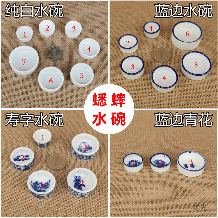蛐蛐 寿字蟋蟀白瓷水盆  水槽 水盂爬虫用具鸣虫蓝边水碗用品青花
