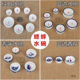 蛐蛐 寿字蟋蟀白瓷水盆  水槽 水盂爬虫用具鸣虫蓝边水碗用品青花