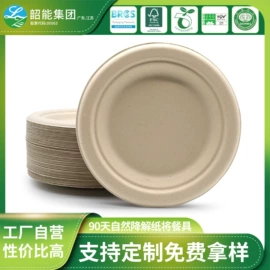 一次性碗碟;一次性餐盒;可降解餐具