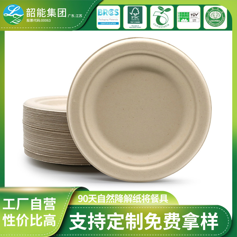 Factory wholesale thickened puree 6 8 9 10 inch disc disposable degradable tableware barbecue cake plate paper plate