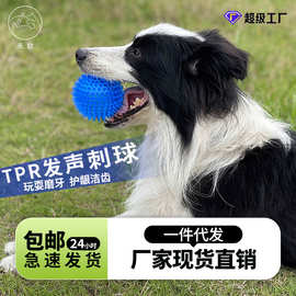 厂家直销狗狗玩具中号刺球狗玩具 9CM发声宠物磨牙玩具中型犬