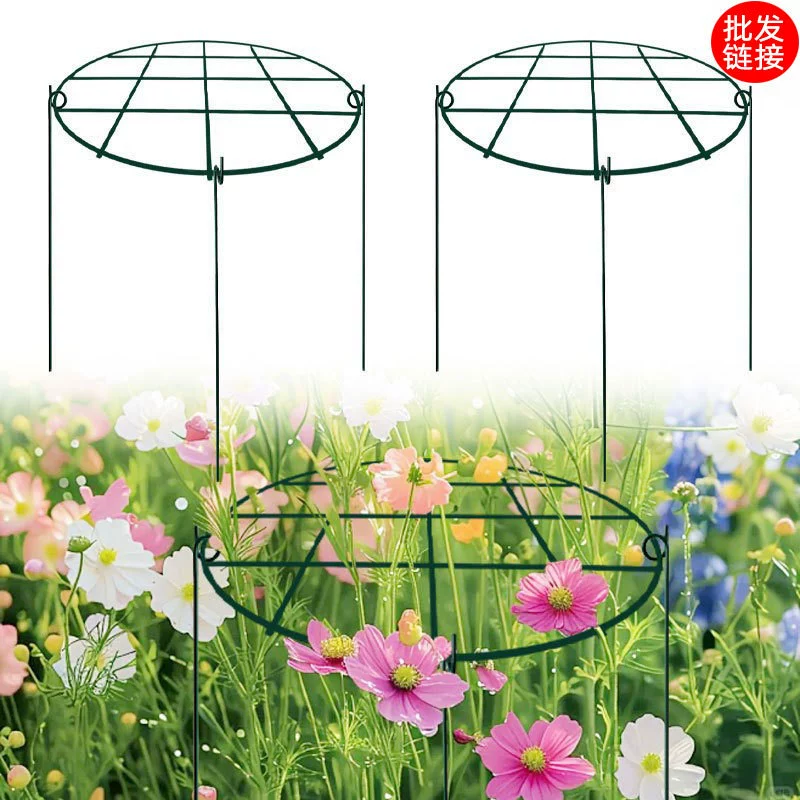 Садовая Крабовая Ямса Гортензия Поле для цветов