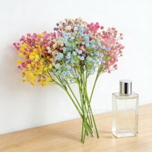 ���滨PU�M���ǏS�ҹ���ܛ�z���|�挍�ָ� �ҾӔ[�� ��c�����b�