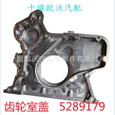 Room Cover 5289179, Flywheel/Gear
