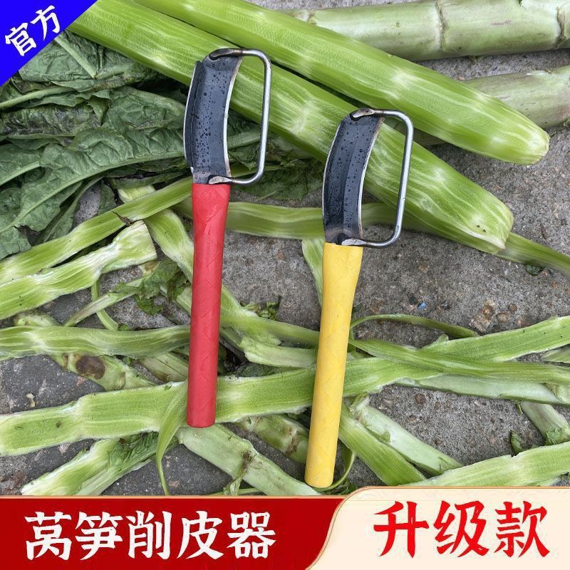 命运