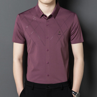 2024 Summer New Lapel Men's Shirt Korean Style Fashionable Urban Comfortable Casual Mid-green Traceless Shirt Cardigan