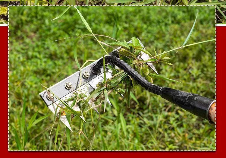 O1CN01x7cjqY2LCVN7zFtVk_!!2215