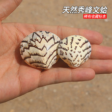 ��Ȼ����ؐ������ĸ�ϡ�И˱��ղ��~��ˮ���쾰�Ҿ��b�Ʒ���l