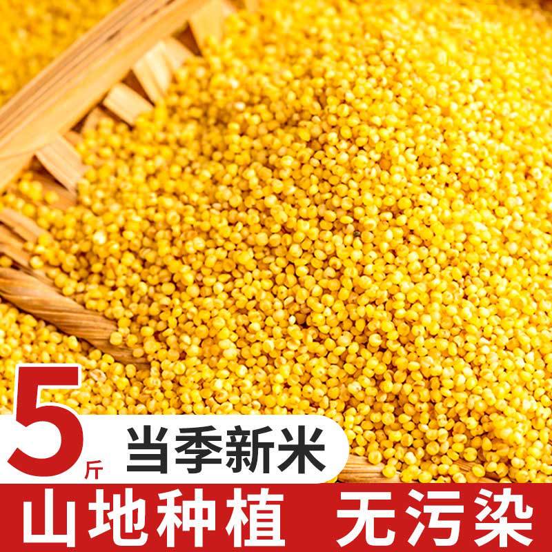 陝西省北部産黄小米2500g卸売、陝西省米脂産小米、米油豊富、雑穀、香り豊かでもちもちした小米粥|undefined