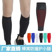 �S�����l�����\�������C��ײEVA�@���R��͸���oС���\���o��