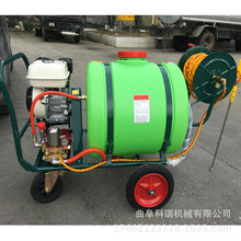 ʽʹșC ״ʽșC Bֳ^C