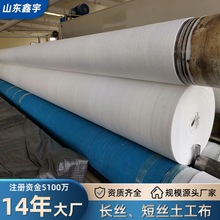 反滤复合透水土工布 pet涤纶聚酯针刺无纺布工程用非织造布