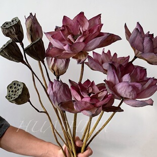 �ɻ�ɏ��͏d�b[���Ҿ��滨�U����ʽԭ�Uɏ����Ȼ�廨�ɻ�����