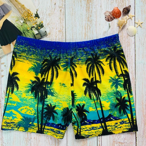 Beach vacation swim trunks print men's swimwear set fashion high-end swim trunks men's hot spring swim shorts