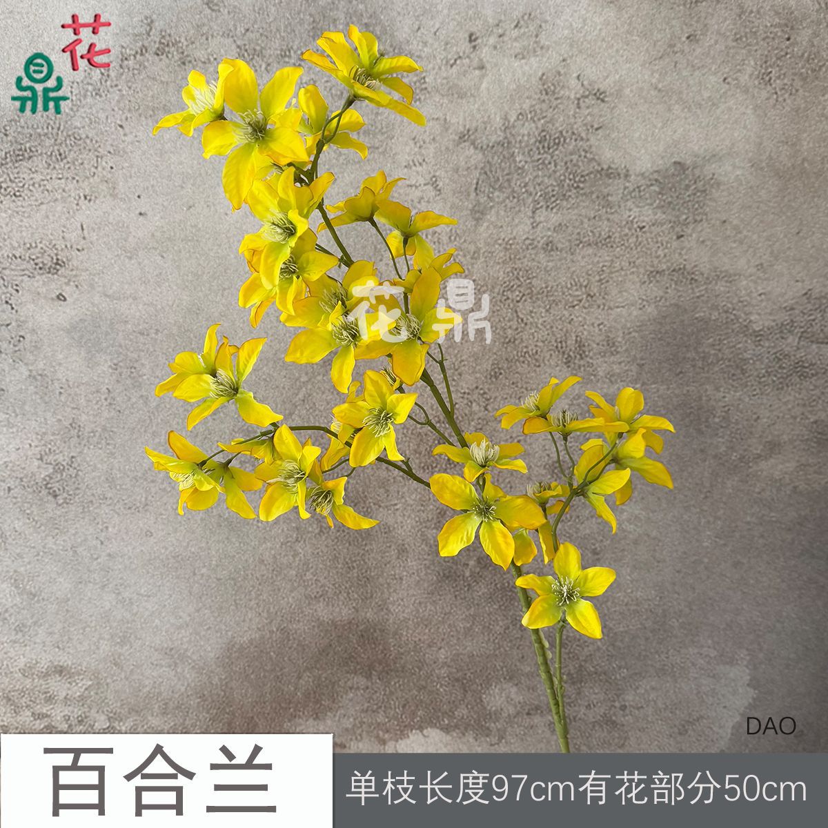 Lily Orchid DAO Vàng
