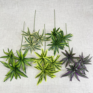 3�^8�Ӱٺ���  ����Gֲ ��c�Ӽ��bپGֲ ���l