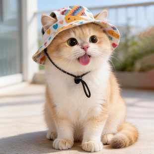 �羳�¿��ñ�Ӵ�����ꖝO��ñ���տs����ñ�����ձ��ܲ���̩��