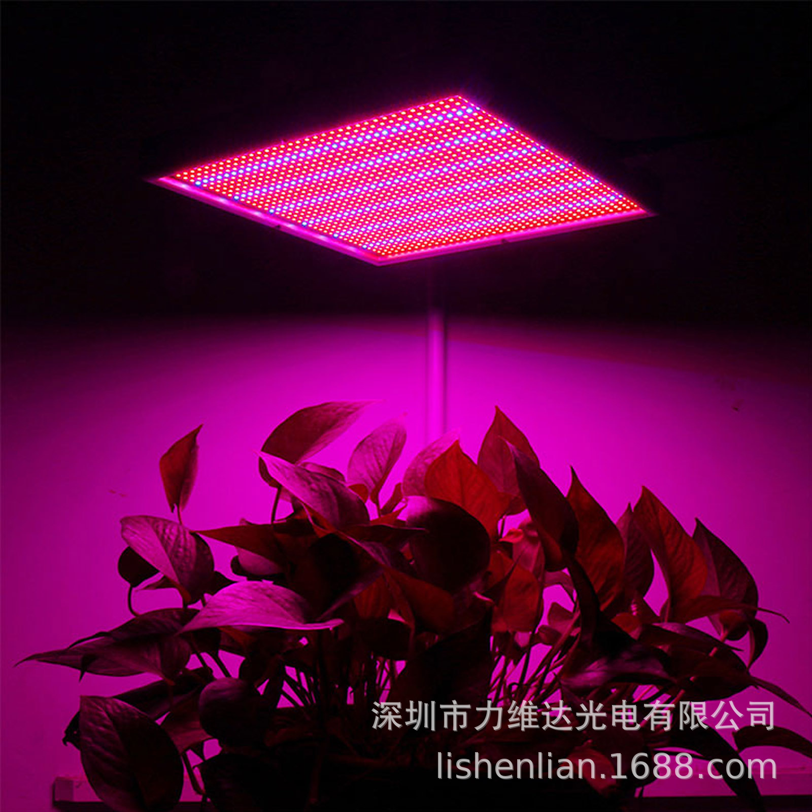 120W 450nm 630nm LEDᱡֲҲ