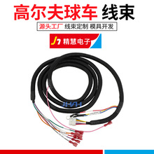 JHAH 74324G02 适用于PDS高尔夫车用摇臂开关控制线束