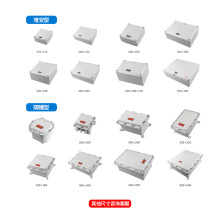 200*200增安型Exe防爆接线箱 300*300隔爆型Exd接线箱 开孔