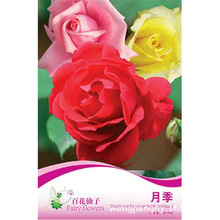 lʰNļN̨҃ԻܷNӼͥNJ޹²ݵؔ