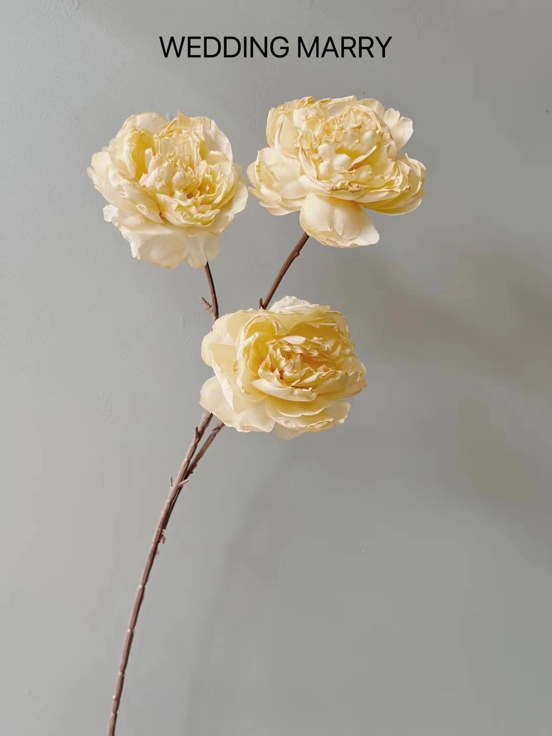 微信图片_20220620151906