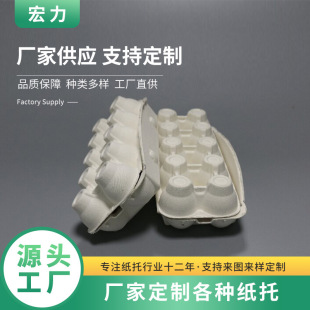 Customized 10 Thickeneded Shatterproof Egg Transport Boxes, Dry Pressed Pulp Molded Egg Trays, Sugarcane Pulp Paper Trays