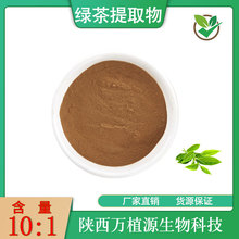 绿茶提取物10:1绿茶比例萃取绿茶粉茶多酚量大从优现货供应