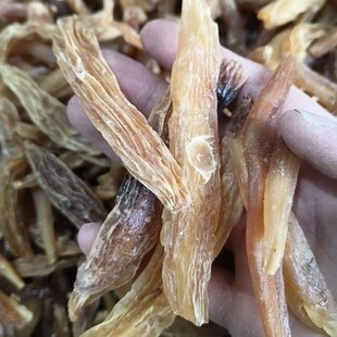 ���� �춬 �춬�� ���L�춬�����NҎ�� ɢ�b��ș�����l