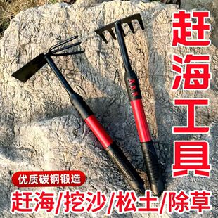 Seaside Set for Digging Clams and Catching Crabs, Beach Shovel for Growing Flowers, Succulents and Vegetables Rake