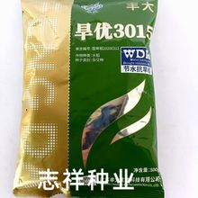 国审旱优3015旱稻种子杂交一级中稻稻谷水稻生育期111天米质优