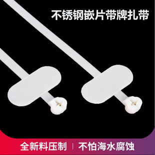NZ-5������������8x240���P䓿ێ���ǶƬ���ý��ٿ��۾���