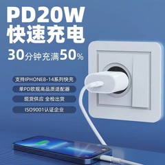 蘋果pd20w快充頭充電器套裝適用於蘋果14充電器 歐規充電器頭批發