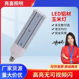 LED玉米灯;LED横插灯;LED球泡灯