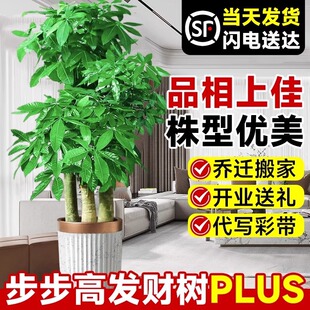 �����߰lؔ��͏d���Դ����Uԭ�����;Gֲ���w�¾��k�����_�I�ͶY