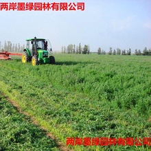 �������ļ����ݷN���u���Zţ����ѷN�o�¾G��ʳ���ϻ���ޣ�ݷN��