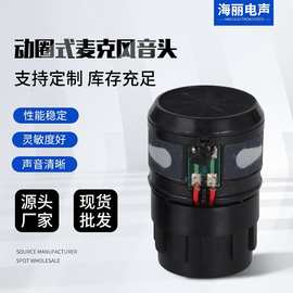 DM-255厂家批发主播直播用动圈式麦克风音头大型演讲音质清晰咪芯