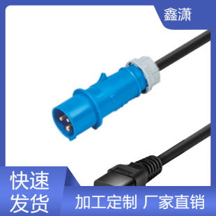 IEC309�{ɫ���I���^16A 32A�DIEC320 C19UPS/PDU�Դ��3*2.5ƽ��