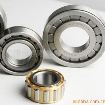 日本轴承双列圆柱滚子轴承 NN3009KCC1P5