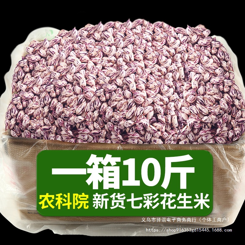 2025新货云南七彩花生米孟连特产新鲜晒干去壳野地彩色花生种籽子