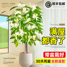 �����m�������ļ��_����䎧�������Դ��;Gֲ�҃��k����ԭ���Ϙ�