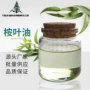 单方植物eucalyptus尤加利桉叶油