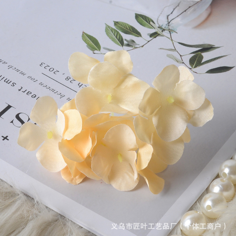 샴페인
