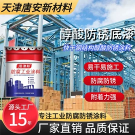 底漆;防腐涂料;防锈涂料