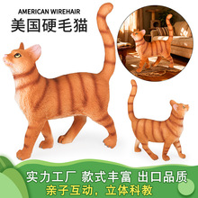 �������ģ�̓�ͯ�J֪������_؈��˹؈�oë؈����Ӳë؈�[���Y��