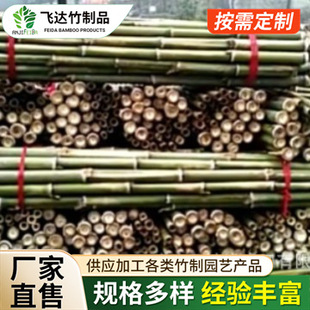 Manufacturers Large Supply of Various Specifications Bamboo Handle Bamboo Cane Support Rod Wholesale