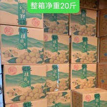 桂圆干大量批发特级新货AA大果8A整箱20斤桂圆龙眼干特产一件代发