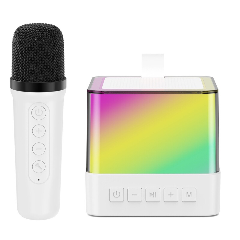 K12K30 Bluetooth カラオケ オーディオ オールインワン マイク マイク ライト付き アウトドア 子供 家族 KTV スピーカー セット|undefined